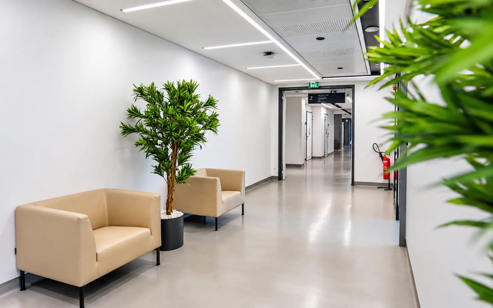 Bright clinic corridor with waiting seats and plants