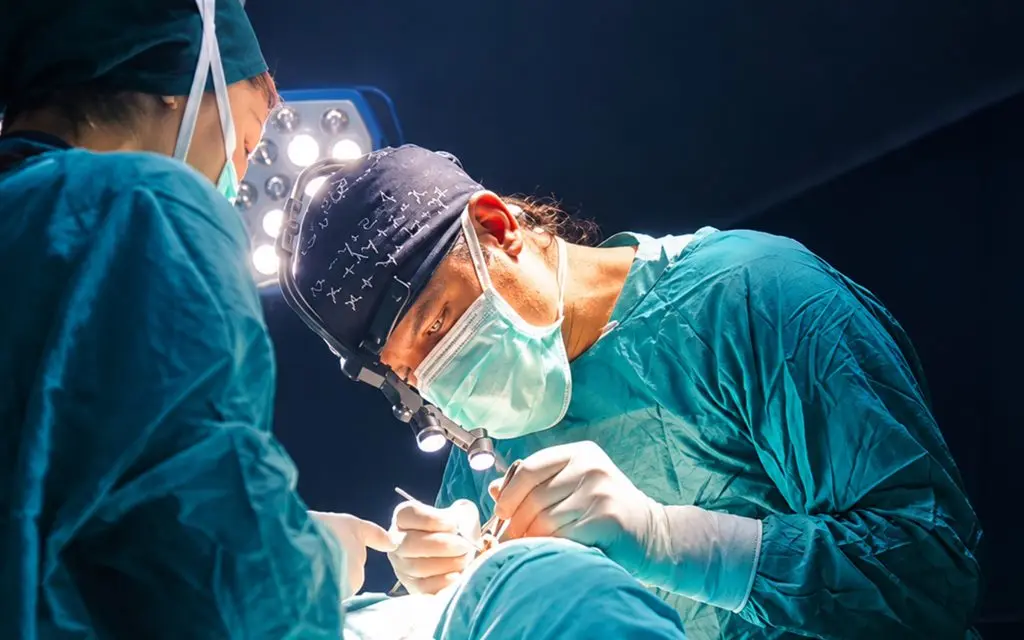 Hair transplant — Jelan Clinic, Istanbul